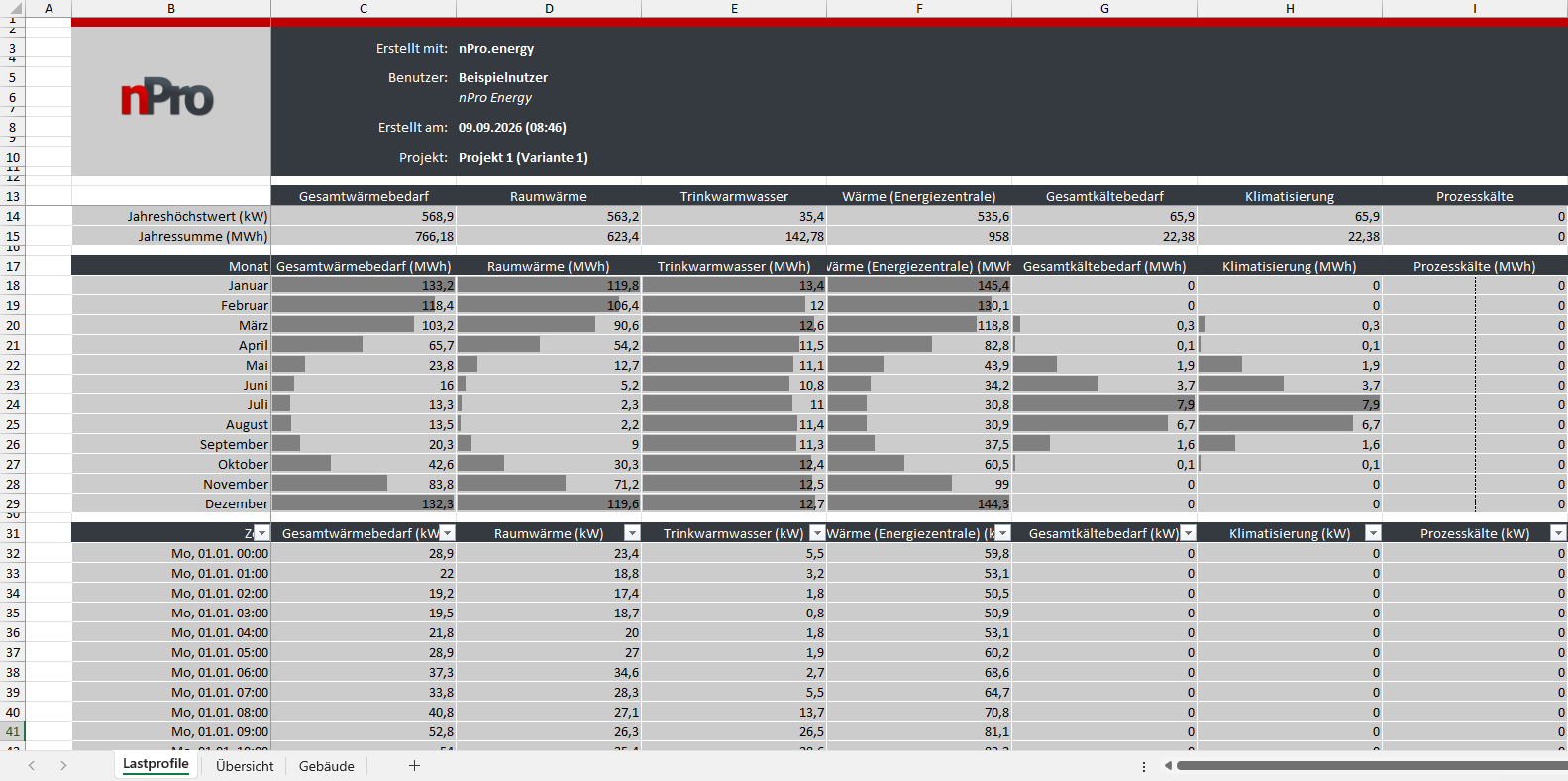 Excel-Export Lastprofile nPro